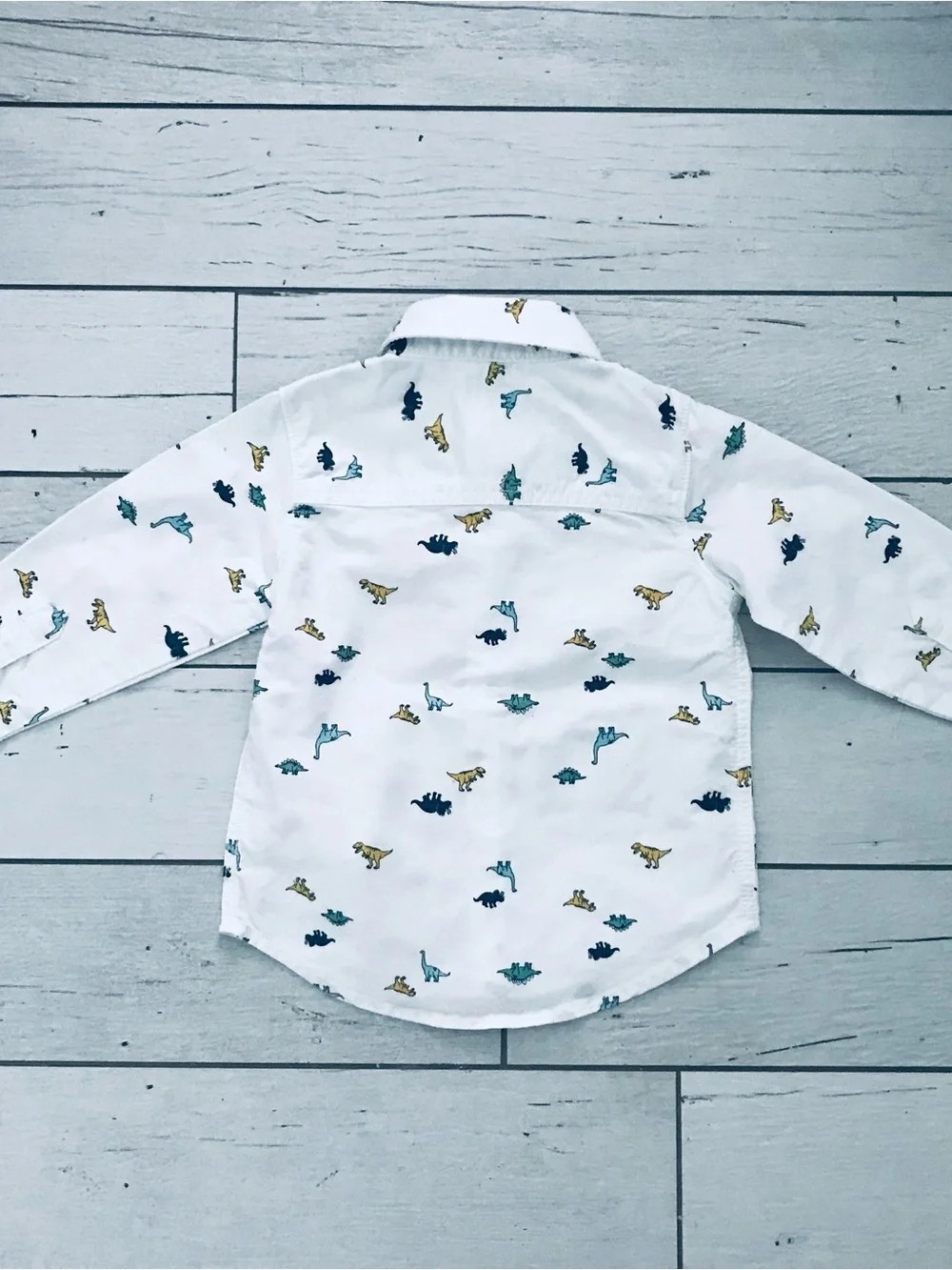 Carter’s Dinosaur Button Down Shirt Size 18 Months